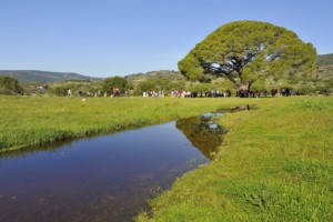 Castrejón con agua