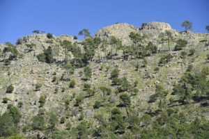 Las Cabreras